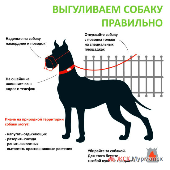 Правила выгула собак в Москве и Московской области Правила выгула собак в Москве и Московской области